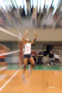 Idea Volley 2002 Bologna punta sul vivaio