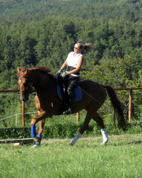 Equitazione - Attivit� equestri in festa