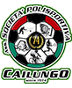 Cailungo