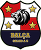 Bala Calcio a 5