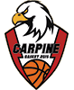 Carpine Basket