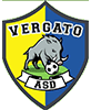 Vergato