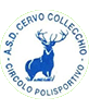 Cervo Collecchio