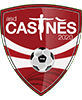 Castnes 2020