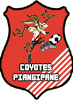 Finalmente una vittoria i Coyotes di Piangipane