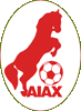 Ajax Faenza