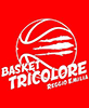 Basket Tricolore