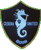 United Cesena