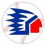 Baseball giovanile: campionato under 12
