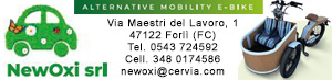 NewOxi - Alternative Mobility E-Bike