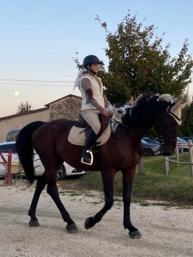 Il Centro Ippico EquiPassione