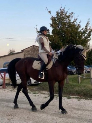 Il Centro Ippico EquiPassione