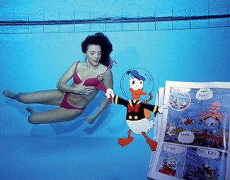 Conto alla rovescia per il Meeting internazionale di Fotografia Subacquea nelle piscine di Faenza