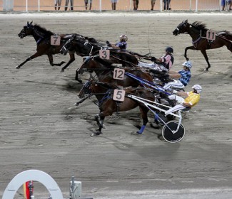Epifania a passo di trotto all’ippodromo San Paolo Si trotta domenica e lunedi