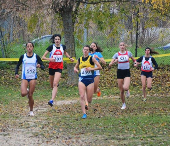 CdS Cross, Fratellanza a Cesena per partire subito forte