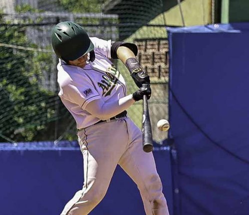 Athletics Bologna al Pilastro arriva Avigliana per la nona giornata di Serie A Silver