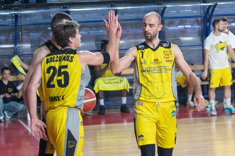 La Virtus Imola, guidata da Zappi, riparte da Bisceglie