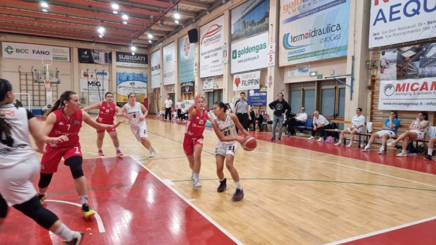 Basket 2000 Senigallia  - Gesam Le  Mura  Lucca 44 - 58