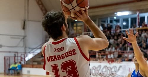Use Computer Gross Empoli -  Attila Porto Recanati 90-65