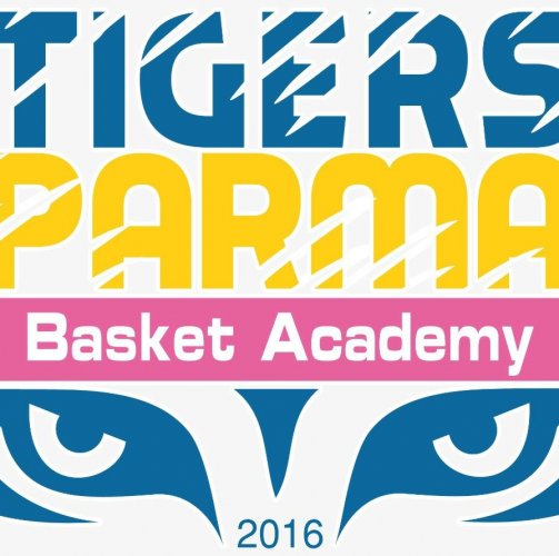 Tigers Parma  B  vs Basket Cavezzo 64 -45