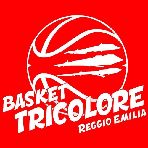 Tigers Parma Basket Academy - Tricolore Basket 47 - 55  .