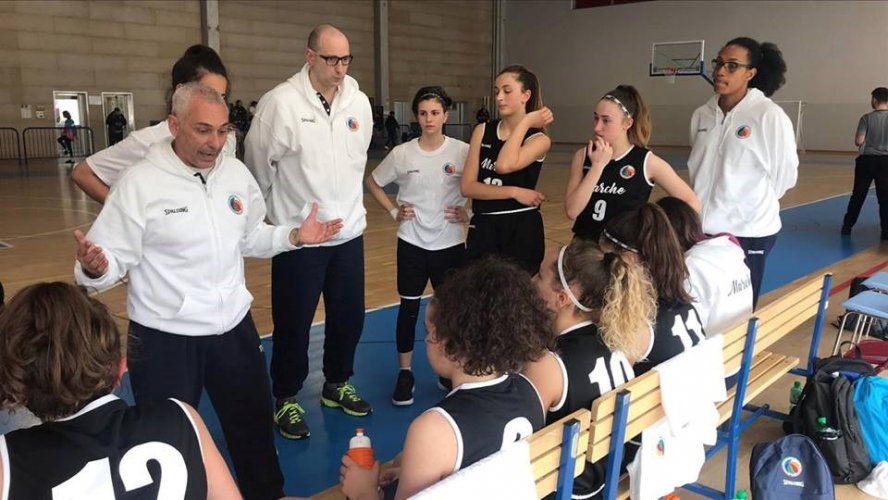 Basket Girls Ancona, Luca Piccionne sollevato dall'incarico di capo allenatore