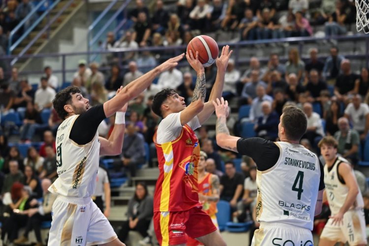 Raggisolaris Tema Sinergie Faenza - OraS� Ravenna : 69-78