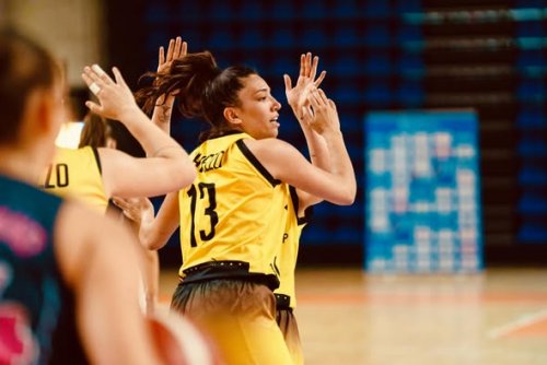 Wamgroup Cavezzo - BFC Conegliano 87-65 (28-15, 53-33, 75-40)