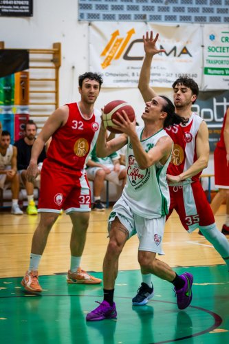 Villlanova Tigers , sfida alla capolista : a Cesenatico � gi� clima play -off