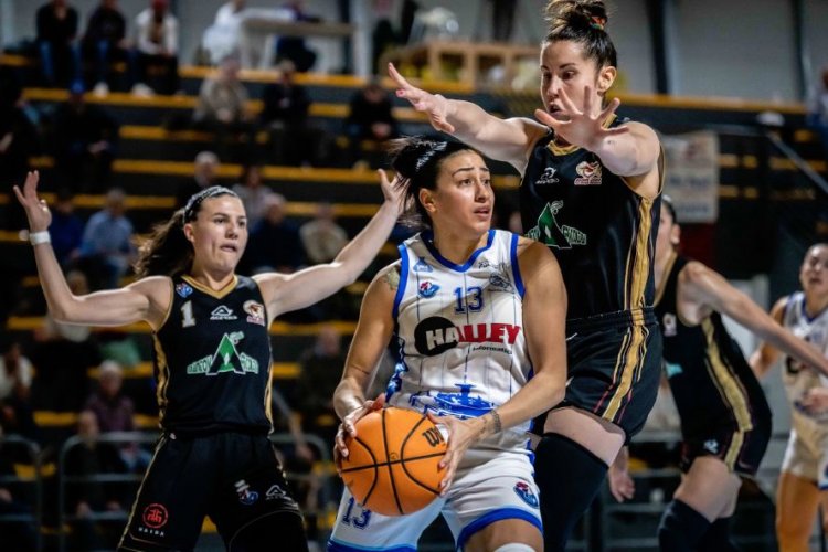 Halley Thunder Matelica vs Solmec Rovigo: presentazione del match