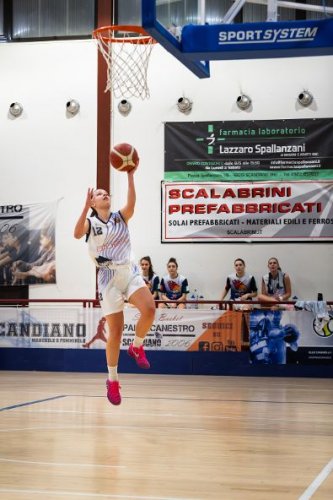 Comunicato Stampa Pallacanestro Scandiano