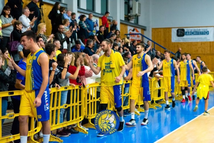 Fiorenzuola Bees: Jonas Bracci confermato nel roster per la stagione 2020/2021 in attesa della decisione sul ripescaggio in Serie B