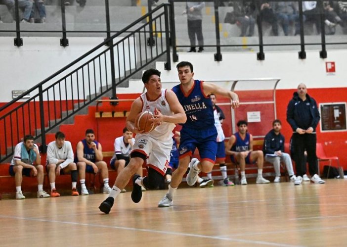 Italia Chef  Piacenza Basket  -  Molix Pallacanestro  Molinella  56-71