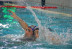 Polisportiva Riccione - Pallanuoto Serie C: Riccione cade a Piacenza contro la Bissolati.