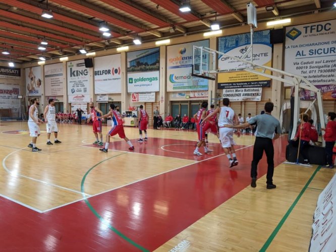 Basket , Serie B : La Pallacanestro Senigallia va ko in casa contro Mestre