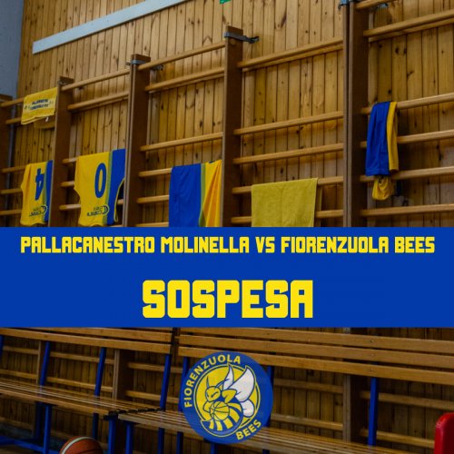Pallacanestro Molinella vs Fiorenzuola Bees non si giocherà: ufficiale la sospensione della gara