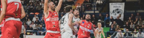 Tamponi negativi , i Tigers Cesena ripartono da Imola.