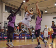 Preview Tigers Cesena – San Vendemiano
