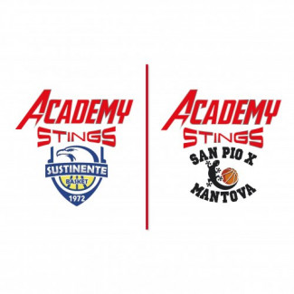 Academy Stings , iniziati i due progetti di C Gold e C Silver