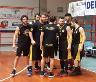 Intech Basket Giallonero Imola : Impresa ad Argenta