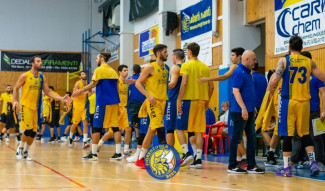Fiorenzuola Bees, non ti fermare! Al PalaMagni si entra nell'Arena contro Montecchio.