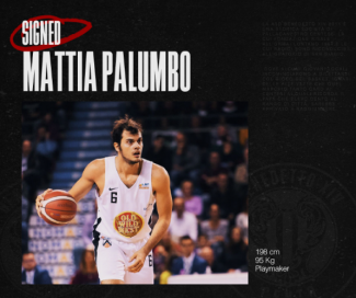 Mattia Palumbo  un nuovo giocatore della  Benedetto XIV Cento
