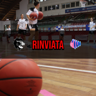 Faenza Basket Project : Rinviato il Match di Stasera contro Jolly  Livorno
