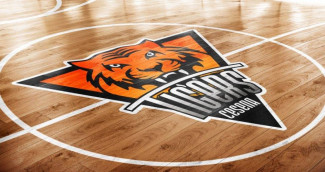 Tigers Cesena - Rimini, per i Tigers un derby a mente sgombra