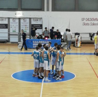 VIS 2008 Basket Ferrara : Risultati delle giovanili