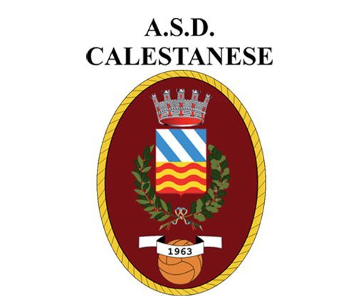 On line la rosa 2024-2025 della Calestanese A.S.D.