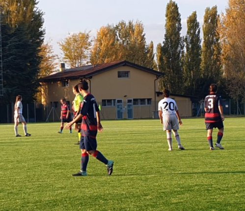 Bologna - Vis Civitanova 8-0 (6-0 pt)