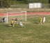 Accademia Marignanese vs River Delfini 1-0
