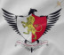 On line la rosa 2026-2027 della A.S.D. Leonessa Montoro Calcio