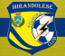 On line la rosa 2026-2027 della A.S.D. Mirandolese Folgore Club